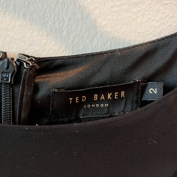 Ted Baker London Gaenor Chiffon Embroidered Fit & Flare Dress - US Sz 4-6 - Picture 6 of 9